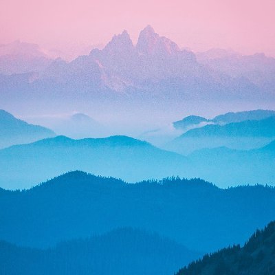 SandKola's profile picture. 