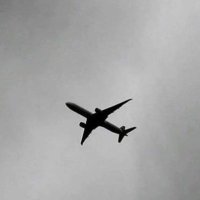 ✈️ (@r_rfff) 's Twitter Profile