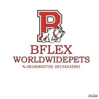 Bflexworldwidepet(@bflexworldwide) 's Twitter Profile Photo