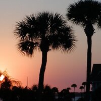 Carl Rosenberry (@carllrosenberry) 's Twitter Profile