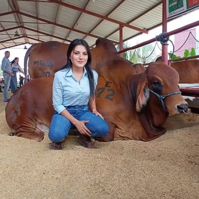 Feminista en construcción.💚✌🏻
Ingeniera Agropecuaria en proceso.