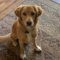 Pete Dougherty (@petedougherty) 's Twitter Profile