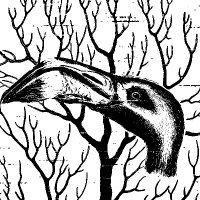 Last Grasp (@lastgraspmusic) 's Twitter Profile