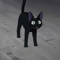 neph ⟡ (@nephsdiary) 's Twitter Profile