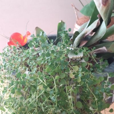 wwwwww8246's profile picture. 