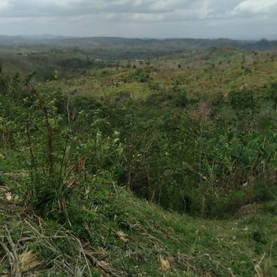 HeinerMejia3's profile picture. estudiante de catastro y agrimensura