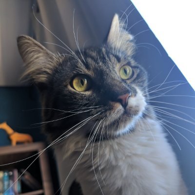 mathssm's profile picture. 3d student