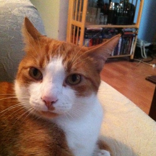 ghostrider1013's profile picture. 