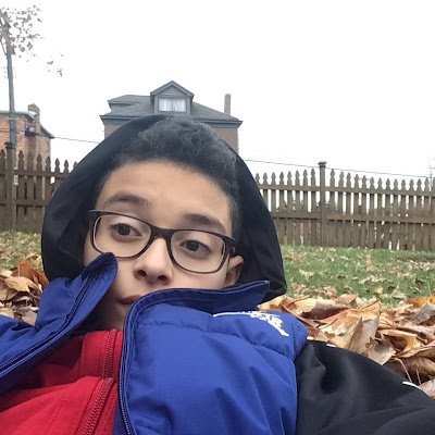 viktor on Twitter: "i heard about someone leaking albert/flamingos