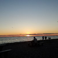 Giantpie12 (@giantpie12) 's Twitter Profile