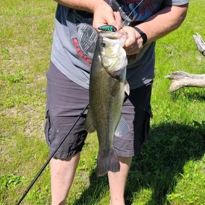 Been fishing all my life. Well I stopped when I lost my father but been active for the last 10 years. Also I started making jig, spinnerbait, buzzbaits, and mor