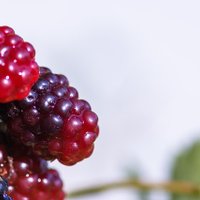 Sema Özyiğit (@semazyiit2) Twitter profile photo