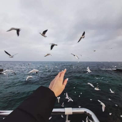 IRLsh3's profile picture. 