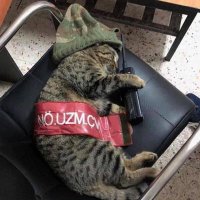 Can (@tohonournglory) Twitter profile photo