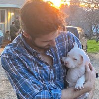 Prismatix (@0xprismatix) 's Twitter Profile