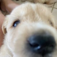 JayKC (@jaykeithc) 's Twitter Profile