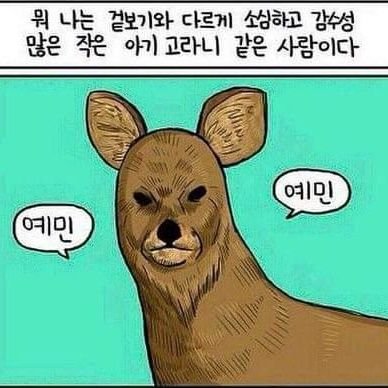 korani6_6's profile picture. 기아야구계
최애 이창진/
윤영철 이의리 좋아함
김도영도 매우 좋아함..
(웃는거 예쁜 사람들)
*사생활 문제있는 선수들 거릅니다*