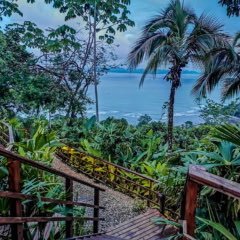 HarrisonAlThor's profile picture. Just cruising’ for a bruisin’