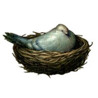 Esao Andrews(@poisonousbirds) 's Twitter Profile Photo