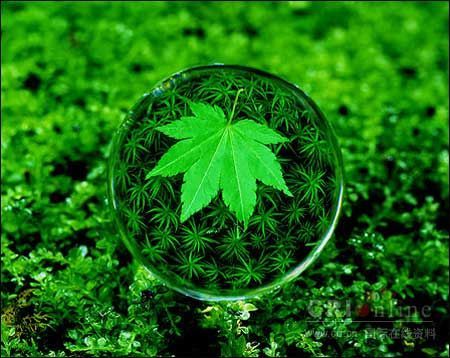 LesleyZYE's profile picture. Free style, travelling girl, daydream guy, less rules in my world, nothing impossible in my dictionary