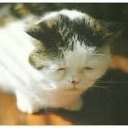 πΏππππππΏ (@maldk_grimgrim) 's Twitter Profile