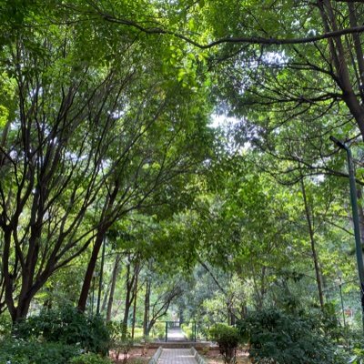 janhvidoshi's profile picture. 