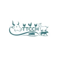 'Til The Cows Come Home (@ttcchaustralia) 's Twitter Profile