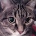 Marina Ka_Fe❤️🕊️☮️ (@marussyamgn) Twitter profile photo Marina Ka_Fe❤️🕊️☮️ (@marussyamgn) Twitter profile photo