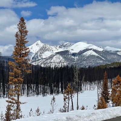 BoulderMAGA's profile picture. 