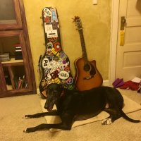 Wade Callaway (@wadecallaway) 's Twitter Profile Photo Wade Callaway (@wadecallaway) 's Twitter Profile Photo