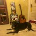 Wade Callaway (@wadecallaway) Twitter profile photo Wade Callaway (@wadecallaway) Twitter profile photo