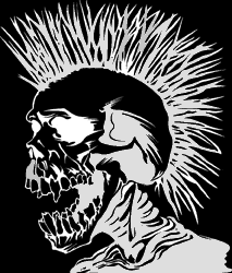 Um cara chega em mim e fala O que é Punk? Então, eu chuto uma lata de lixo e digo Isto é punk!. Então, ele chuta a mesma lata e diz 'Isto é Punk? NAO É MODINHA!