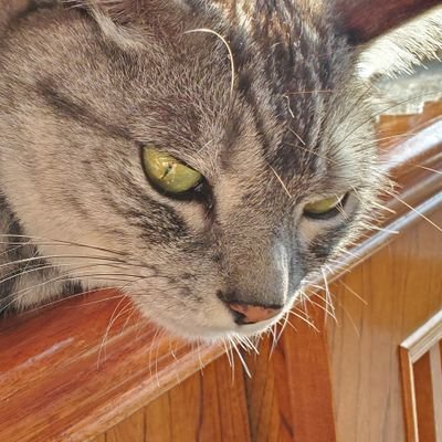 bitkey0207's profile picture. 趣味のつぶやきをする垢
最近ラノベを読み漁ってます
継続中:狼と羊用紙、精霊幻想記
このあたりはよくつぶやきます
あと競馬予想とかつぶやくかも
自己満足垢