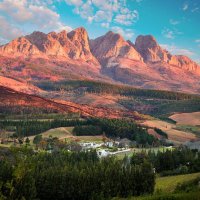 Doolhof Wine Estate (@doolhofwines) Twitter profile photo