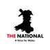 The National Wales 🏴󠁧󠁢󠁷󠁬󠁳󠁿 (@nationalwales) Twitter profile photo