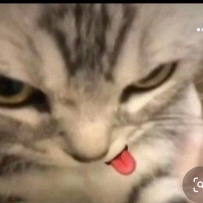 lilkurbyy's profile picture. 