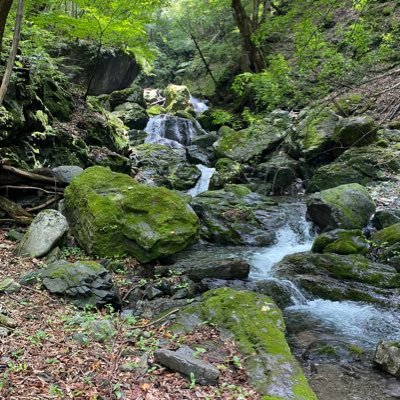 埼玉県西部に住む38歳です！サッカー⚽️とアウトドア(キャンプ🏕と釣り🎣)が趣味です。ペットにフトアゴヒゲトカゲを飼い始めました🦎これから色々ツイートしたいと思いますのでよろしくお願いします👍