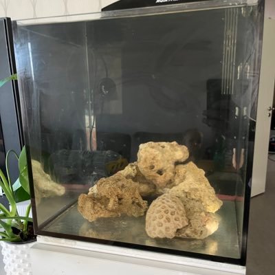 imthegrip's profile picture. 