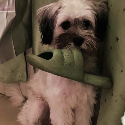 chouli15380331's profile picture. love and peach