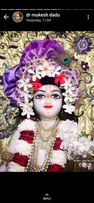 NileshK15765279's profile picture.