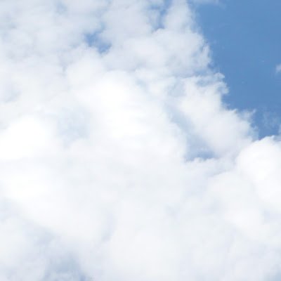 TSasamori2's profile picture. 