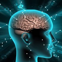 Mind Mastery (@mindmastery__) 's Twitter Profile