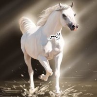 السمو (@alsumuu_1) Twitter profile photo