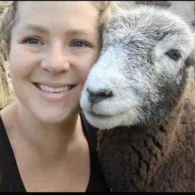 FIRST GENERATION FARMER.
PEAK DISTRICT, UK.
SHEEP, COWS, TURKEYS, GEESE AND BEES

FARMING FOR THE FUTURE