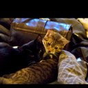 Dawson Dunn - @Dawson_Dunn - Twitter