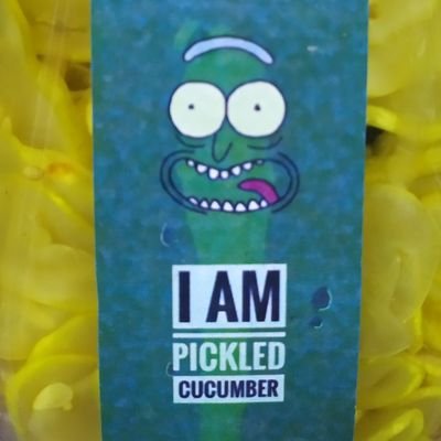 iboodj's profile picture. 