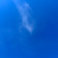 空＾＾ (@vh9au) 's Twitter Profile Photo
