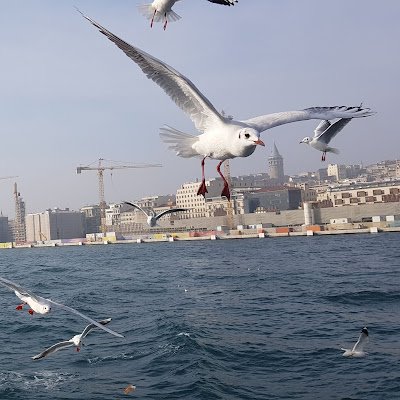 skyrunner36's profile picture. 