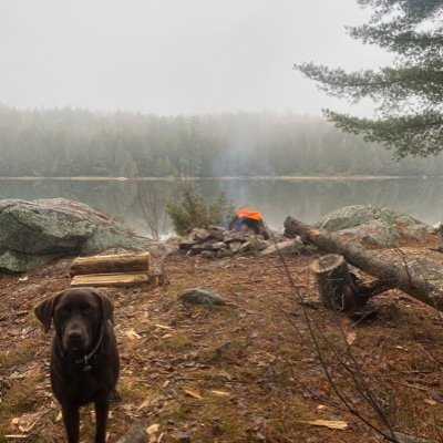 nick626537's profile picture. 