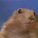 Brandon James Hoard - @Brandon_Hoard - Twitter